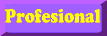 Profesional