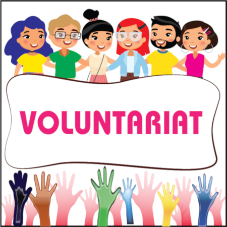 Voluntariat