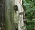 Thumbnail for version as of 06:07, 2 April 2012