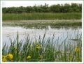 Thumbnail for version as of 06:15, 14 May 2012