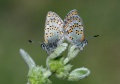 Thumbnail for version as of 09:50, 21 October 2014