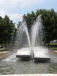 Dscn8711.jpg