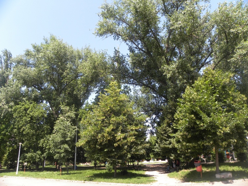 File:Dscn8594.jpg