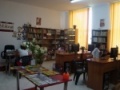 Barcea4.jpg
