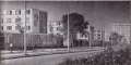 Thumbnail for version as of 08:00, 29 March 2024