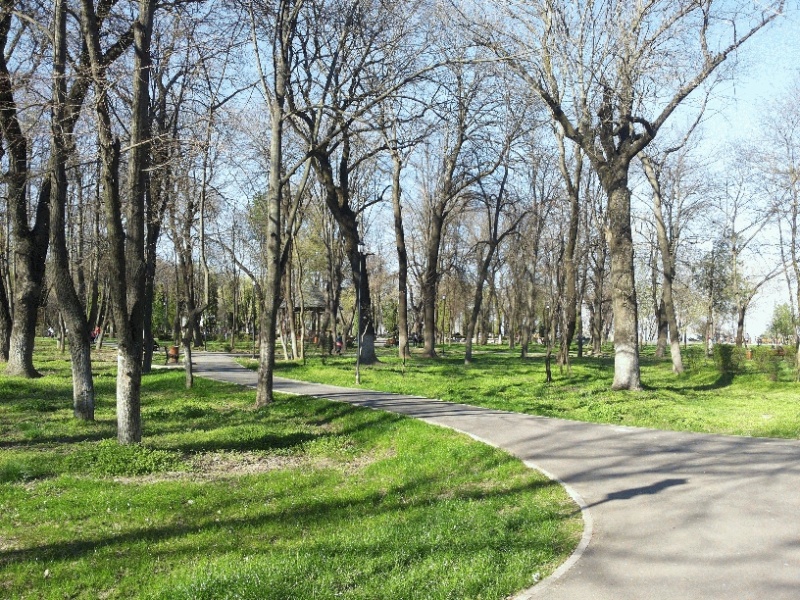 File:3530.jpg