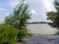 Dscn8666.jpg