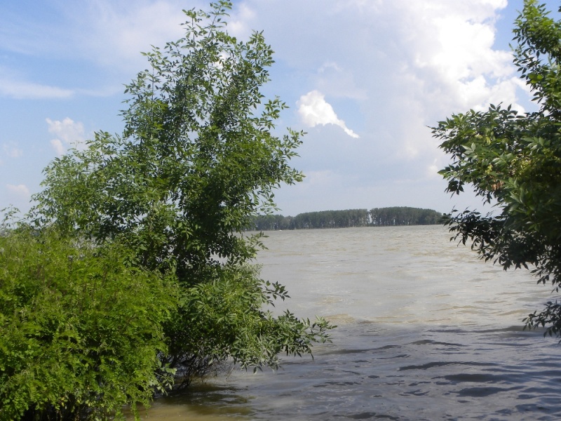 File:Dscn8666.jpg