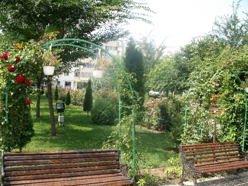 File:ImgSF. MINA 0056.jpg