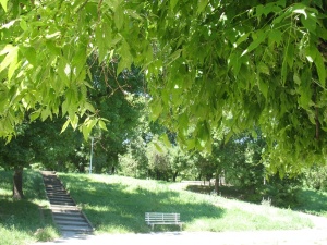 Img 0008.jpg