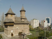 B.Precista 1.jpg