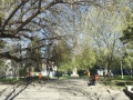 Parc.1034.jpg