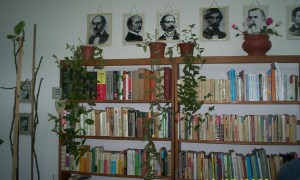 interior2.