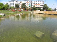 Dscn8600.jpg