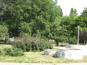 Img 0029.jpg