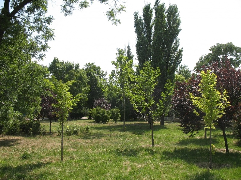 File:Img 0013.jpg