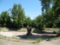 Thumbnail for version as of 11:57, 2 July 2014
