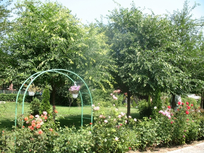 File:ImgSF. MINA 0039.jpg