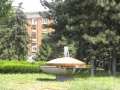 Dscn8720.jpg