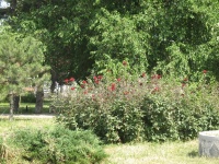 Img 0028.jpg