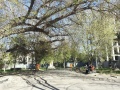 Parc. 1907. 0953.jpg