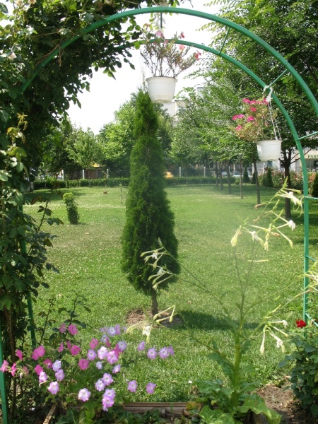 File:ImgSF. MINA 0055.jpg