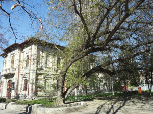 Parc.1026.jpg