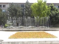 Dscn8709.jpg