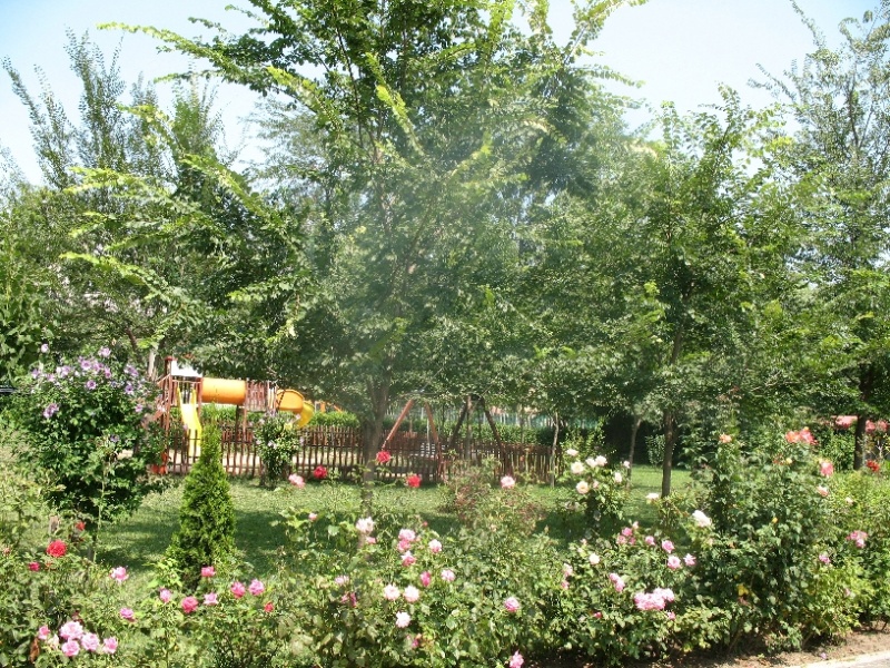 File:ImgSF. MINA 0042.jpg