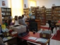 Barcea3.jpg