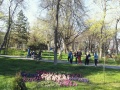 Thumbnail for version as of 11:55, 3 April 2014