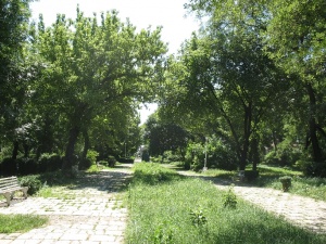 Img 0063.jpg