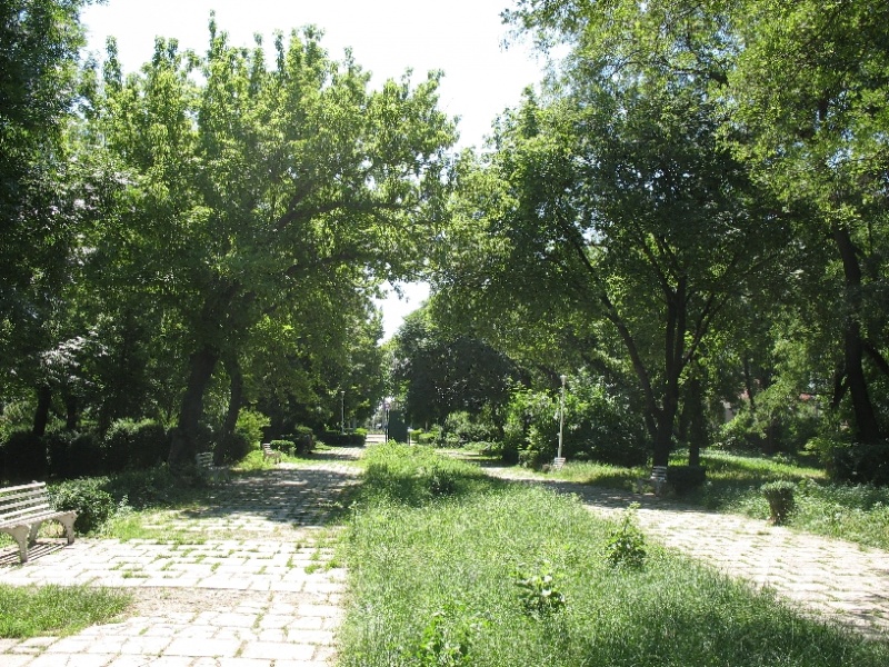 File:Img 0063.jpg